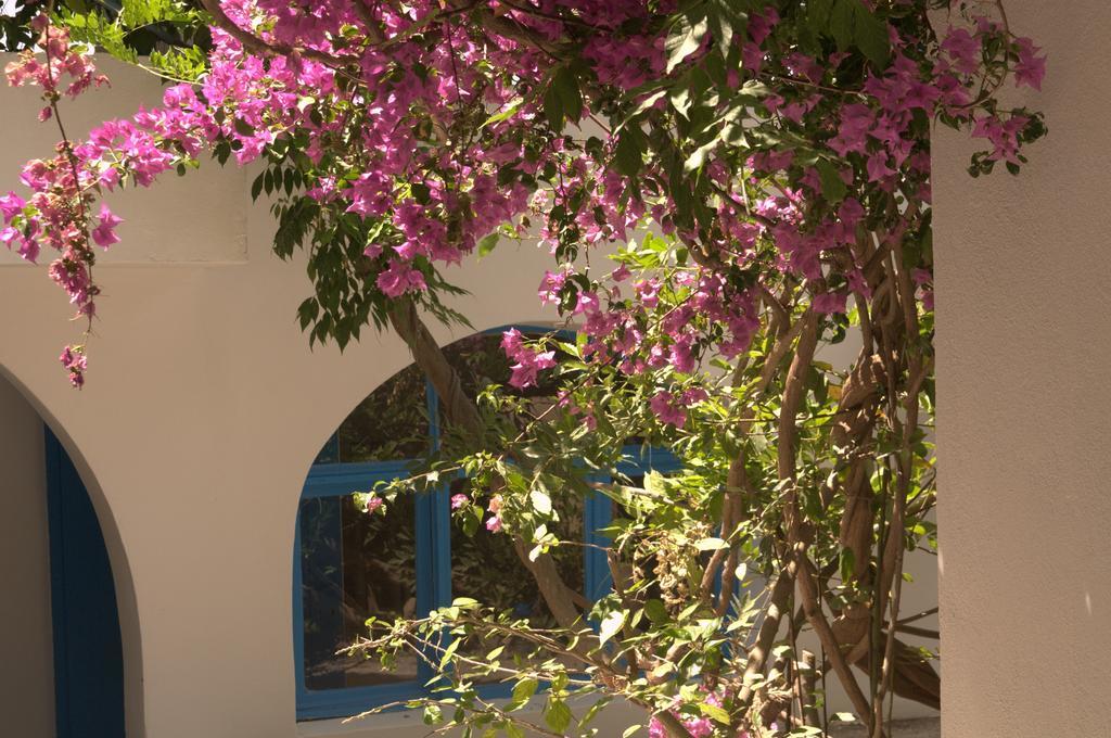 Pasalimani Hotel Çeşme Esterno foto